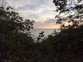 Obraz premium Parque Nacional Isla Santa Catalina