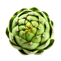 Obraz premium High-quality close-up image of a vibrant green artichoke, showcasing its intricate structure and beautiful color