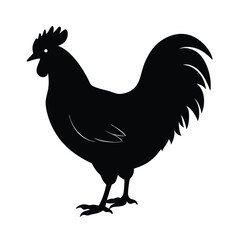 Chicken Silhouette Vector Art, Black and White Chicken Bird Illustration