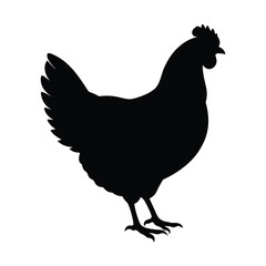 Chicken Silhouette Vector Art, Black and White Chicken Bird Illustration