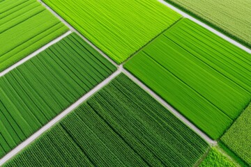 Aerial view of vibrant green agricultural fields in geometric patterns
