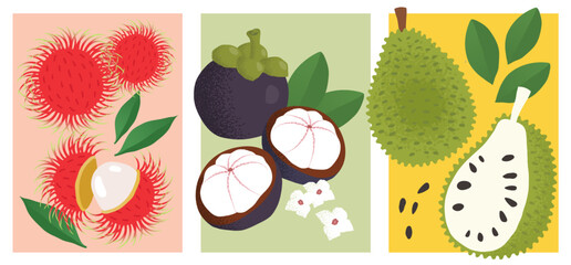 Exotic Fruit Set - Rambutan, Mangosteen, Soursoup