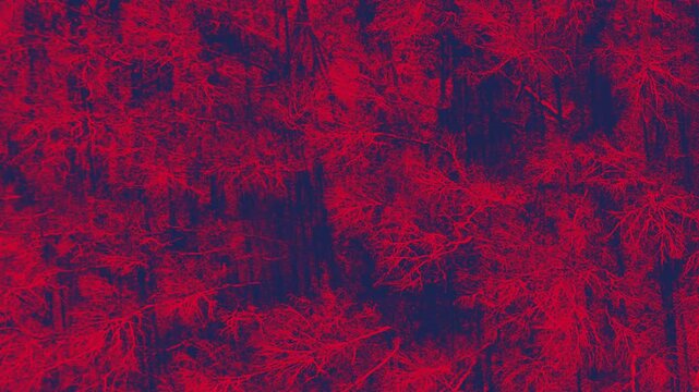 Nervures rouges abstraites de veines d'arbres et stries noirs en mouvements de tournoiement 