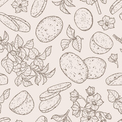Fototapeta premium Line art seamless pattern with whole potato, slices, halves, flower and branch. Linear organic vegetable concept. Natural hand drawn background for print, wrapping paper, fabric, banner, textile