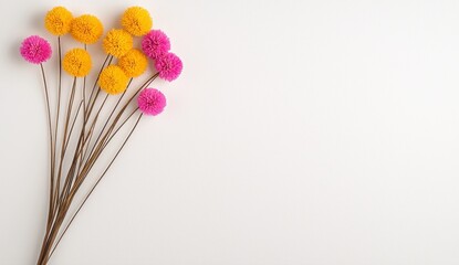 Bunch of dried yellow and pink flowers with long stems arranged on a clean white background for fresh aesthetic appeal