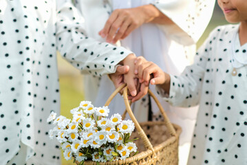 Close-up of a family holding a wicker basket filled with white daisies, dressed in matching polka-dot outfits, symbolizing togetherness and harmony.