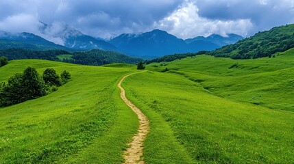 Obraz premium Serene Mountain Path: A Journey Through Lush Green Meadows