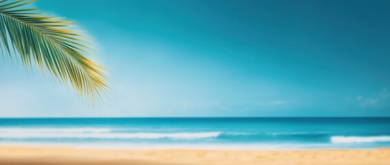 Relaxing Beach Scene Tropical Location Nature Photography Calm Environment Wide Viewpoint Serenity Concept