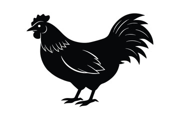 Silhouette of Chicken vector illustration.