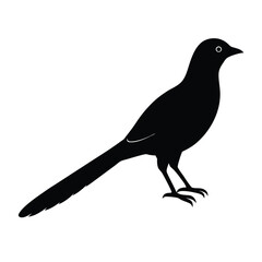 Fototapeta premium Cuckoo Silhouette Vector Art Design, Black And White Cuckoo Bird Vector Illustration