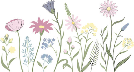 Watercolor Floral Border with Peach, White Flowers and Green Leaves. Botanical Illustration, Floral Design, Seamless Pattern, floral border, watercolor flowers for packaging AI, Day, EPS, PNG, JPEG .