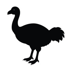 Dodo (Extinct) Silhouette Vector Art Design and Black And White Dodo Bird Vector Illustration