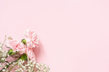Bouquet of white gypsophila and pink carnations on a pink background in the corner, copyspace