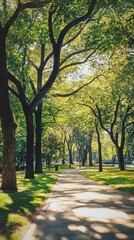 Obraz premium A peaceful walkway in a city park surrounded by vibrant green trees, casting dappled sunlight on the path.