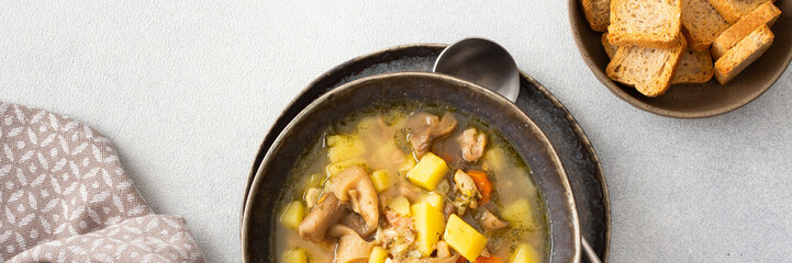 Oyster mushroom soup in plates, soup made from Pleurotus mushrooms and potatoes, carrots and spices, top view, copy space, banner