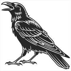 silhouette crow image on white background 