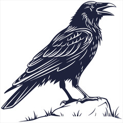 silhouette crow image on white background 