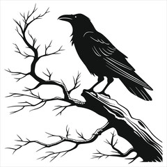 silhouette crow image on white background 