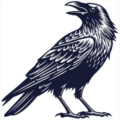 silhouette crow image on white background 