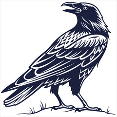 silhouette crow image on white background 