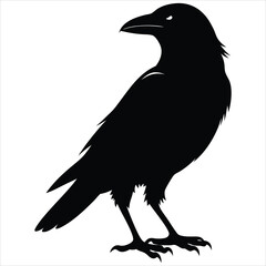 silhouette crow image on white background 