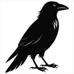 silhouette crow image on white background 
