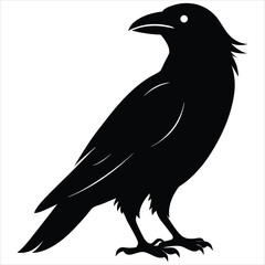 silhouette crow image on white background 