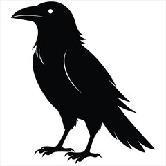 silhouette crow image on white background 