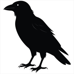 silhouette crow image on white background 
