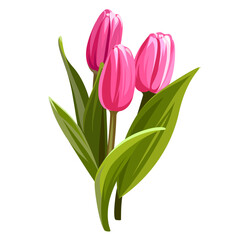 Colorful collection of hand drawn flowers. Pink Tulips isolated on a white background. Spring bouquet for holidays.
