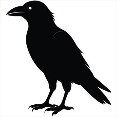 silhouette crow image on white background 