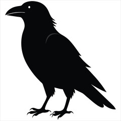 silhouette crow image on white background 