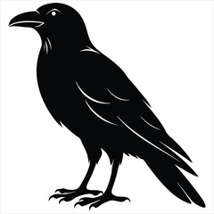 silhouette crow image on white background 