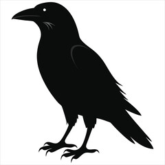 silhouette crow image on white background 
