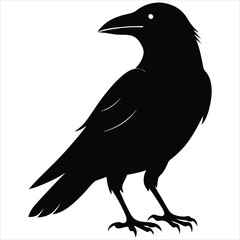 silhouette crow image on white background 
