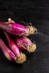 Top view of purple spring onions on dark wooden table, vertical with copy space