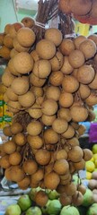 Longan (Dimocarpus longan) is a tropical fruit native to Southeast Asia