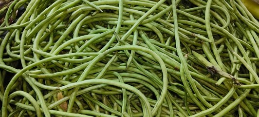 Yardlong beans (scientific name: Vigna unguiculata subsp. sesquipedalis)