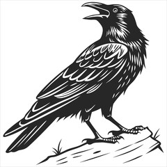 silhouette crow image on white background 