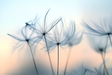 Obraz premium Beautiful abstract representation of dandelion seeds in soft hues creating an enchanting atmosphere of calmness : Generative AI