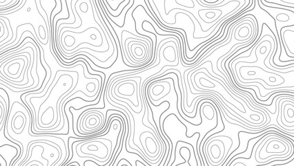 Topographic map contour background. Contour map vector. Map line of topography. Vector topographic map background. Business concept. Abstract vector illustration