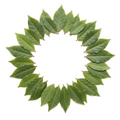 Fototapeta premium Bay Leaf Wreath: A Culinary and Aromatic Circle
