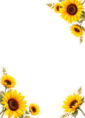 White page with big Sunflower branches