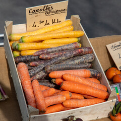 Marché de produits frais. Carottes anciennes.