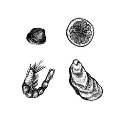 Hand-drawn engraving illustration of a shrimp, lemon slice, mussel, and oyster