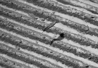 Rugged boat launch with crystal clear water floating small leaf