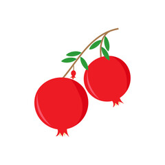 Ripe pomegranate on a leafy branch.