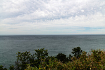 tranquil seascape with cloudy sky and trees