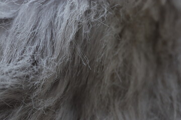 faux fur, fur, gray fur, background, 