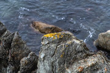 high-angle view of the rock against the sea surface